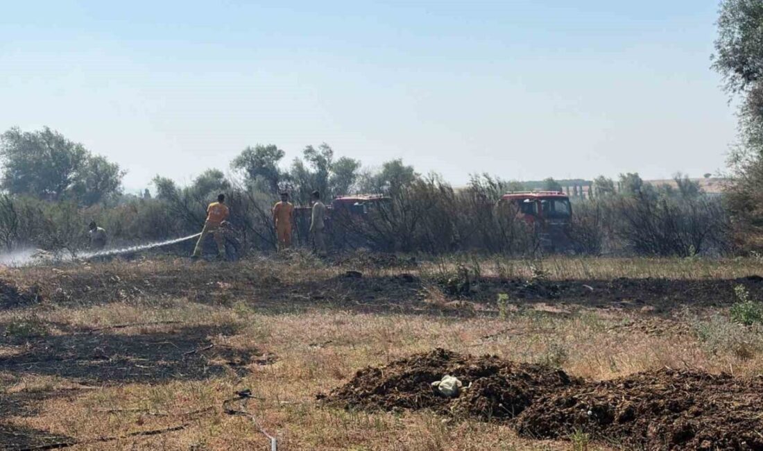 Kepsut ve Balya ilçelerinde meydana gelen arazi yangınları kontrol altına