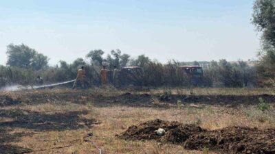 Kepsut ve Balya ilçelerinde meydana gelen arazi yangınları kontrol altına
