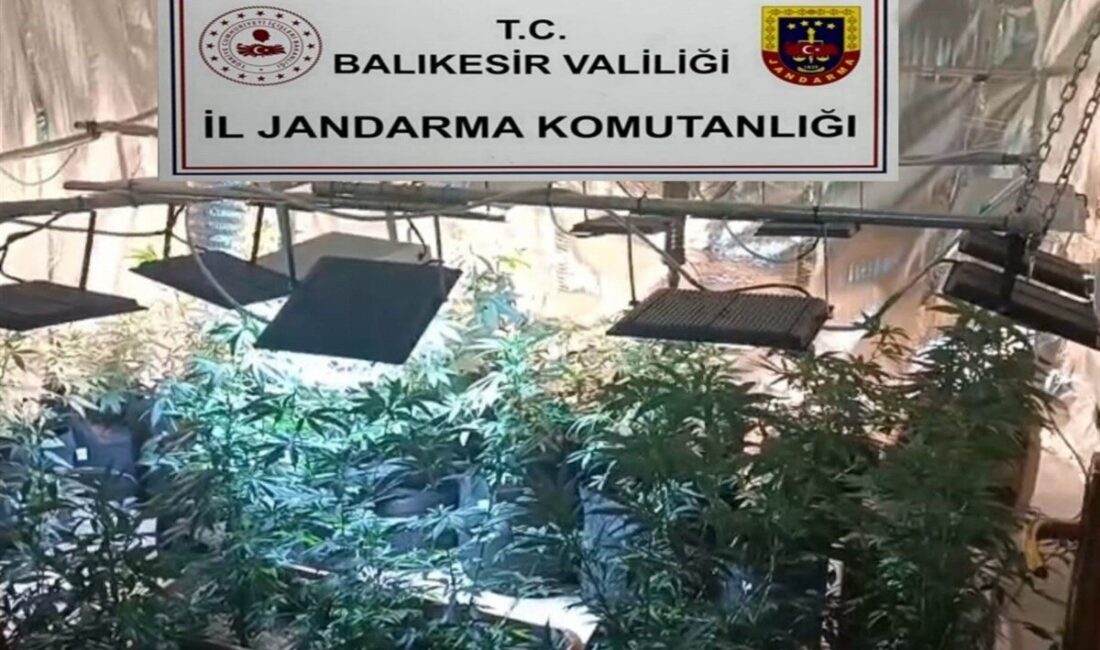 Balıkesir İl Jandarma Komutanlığı ekipleri, son 2 ay içerisinde 5