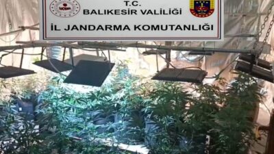 Balıkesir İl Jandarma Komutanlığı ekipleri, son 2 ay içerisinde 5