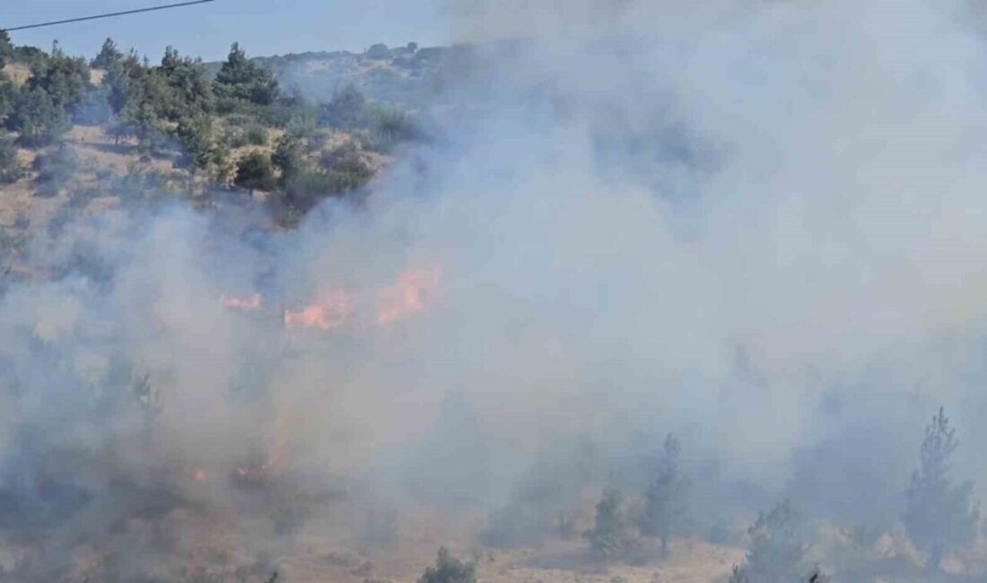 Balıkesir’in Dinkçiler Mahallesi’nde, TOKİ Konutları ile Karesi Huzurevi arasında bulunan