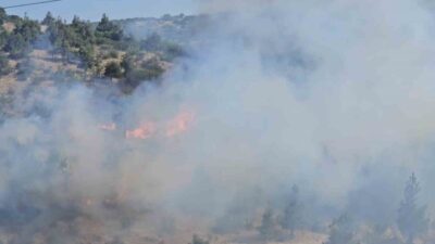 Balıkesir’in Dinkçiler Mahallesi’nde, TOKİ Konutları ile Karesi Huzurevi arasında bulunan