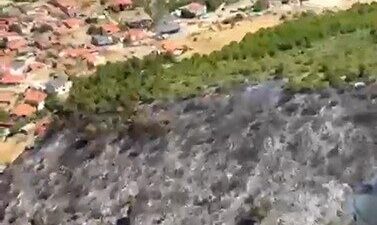 Balıkesir’in Burhaniye ilçesine bağlı Taylıeli Mahallesi’nde meydana gelen orman yangını,