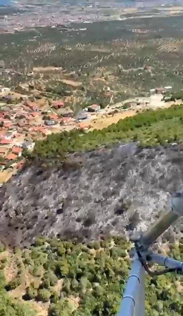 Balıkesir’in Burhaniye ilçesine bağlı Taylıeli Mahallesi’nde meydana gelen orman yangını,