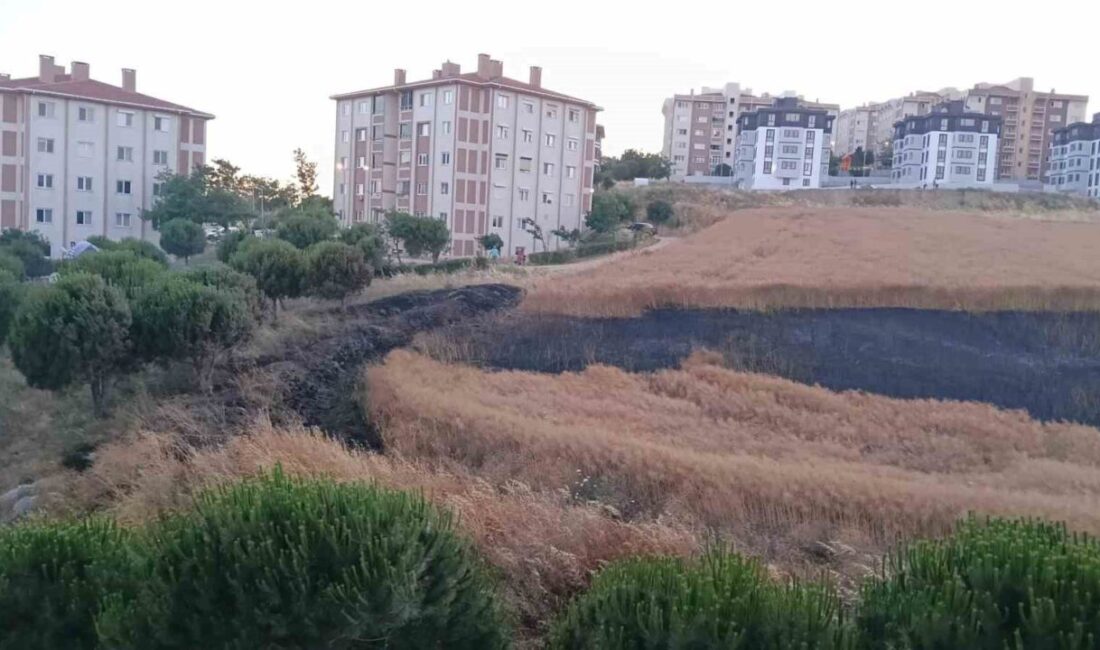 Bandırma ilçesindeki bir buğday tarlasında çıkan yangın, itfaiye ve orman
