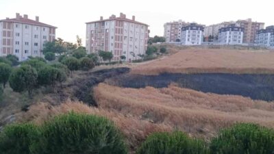 Bandırma ilçesindeki bir buğday tarlasında çıkan yangın, itfaiye ve orman