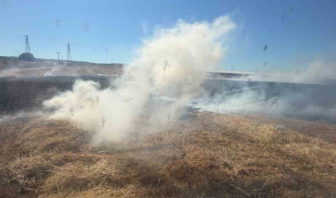 Balıkesir’in Bandırma ilçesinde yaşanan anız yangını, itfaiye ekiplerinin hızlı müdahalesiyle