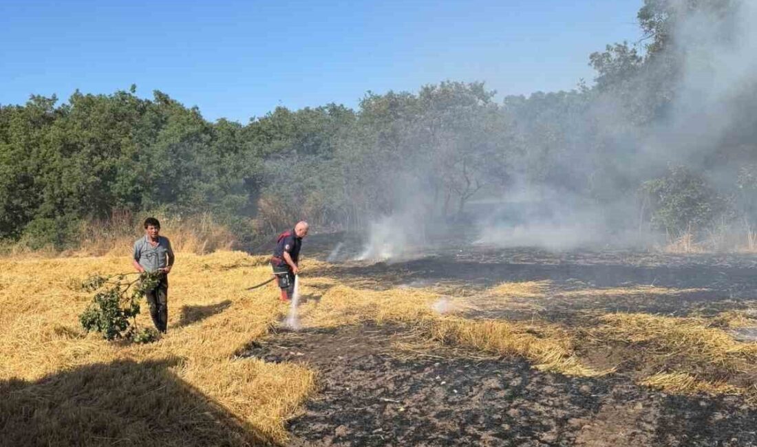 Bandırma ilçesinde çıkan anız yangını, itfaiye ekiplerinin müdahalesiyle kontrol altına