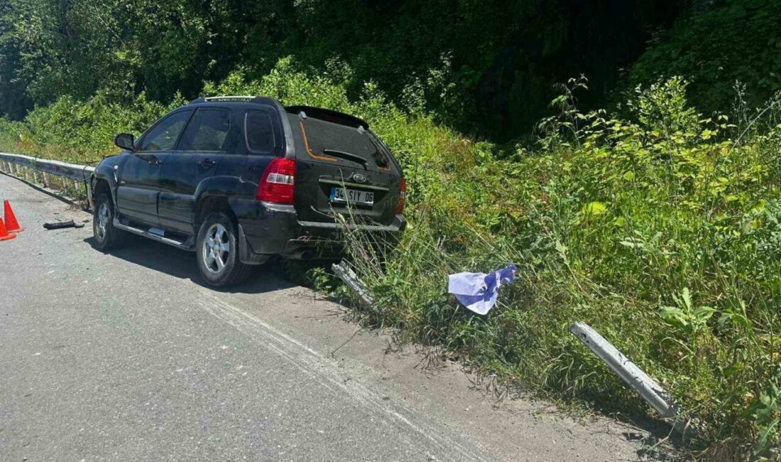 Artvin, Hopa karayolunda meydana gelen trafik kazasında, 34 SIY 06