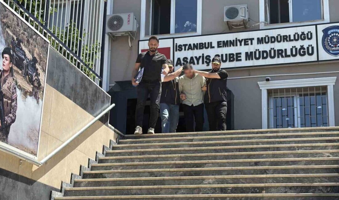 Başakşehir’deki boş arazide taşla vurularak öldürülen bir kadın cesedi bulunduğunda