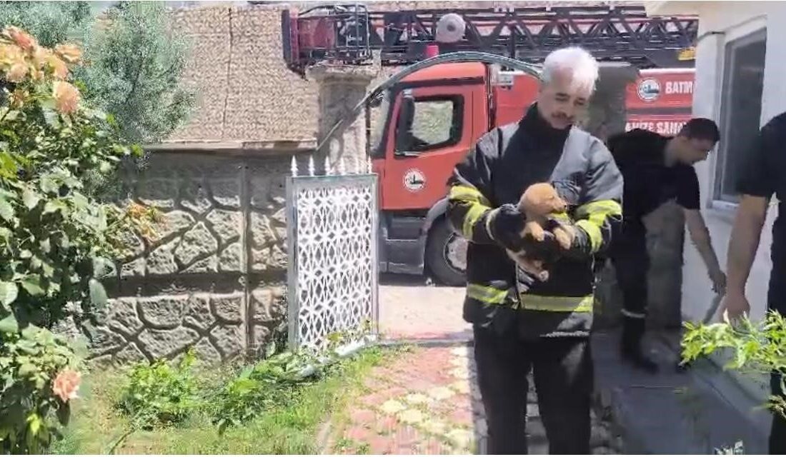 Batman Organize Sanayi Bölgesi’ndeki bir fabrikanın duvarları arasında sıkışan bir