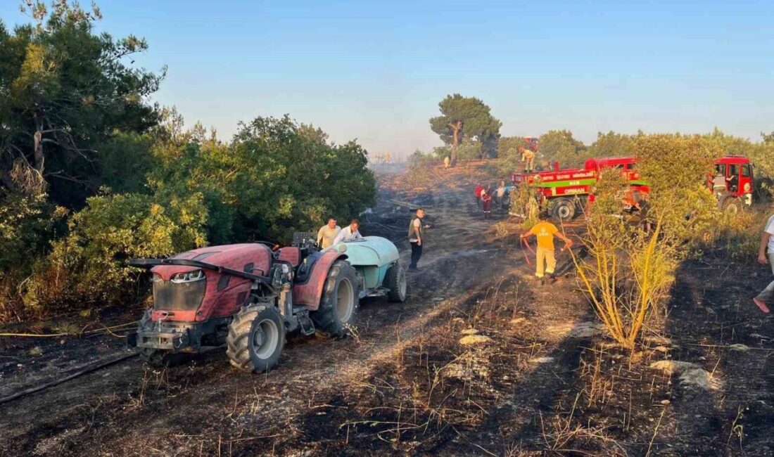 Sakarya bölgesinde akşam saatlerinde meydana gelen yangın, Bilecik sınırına 300
