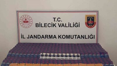 Bilecik’in Söğüt ilçesinde jandarma tarafından gerçekleştirilen operasyonda 9 bin 900
