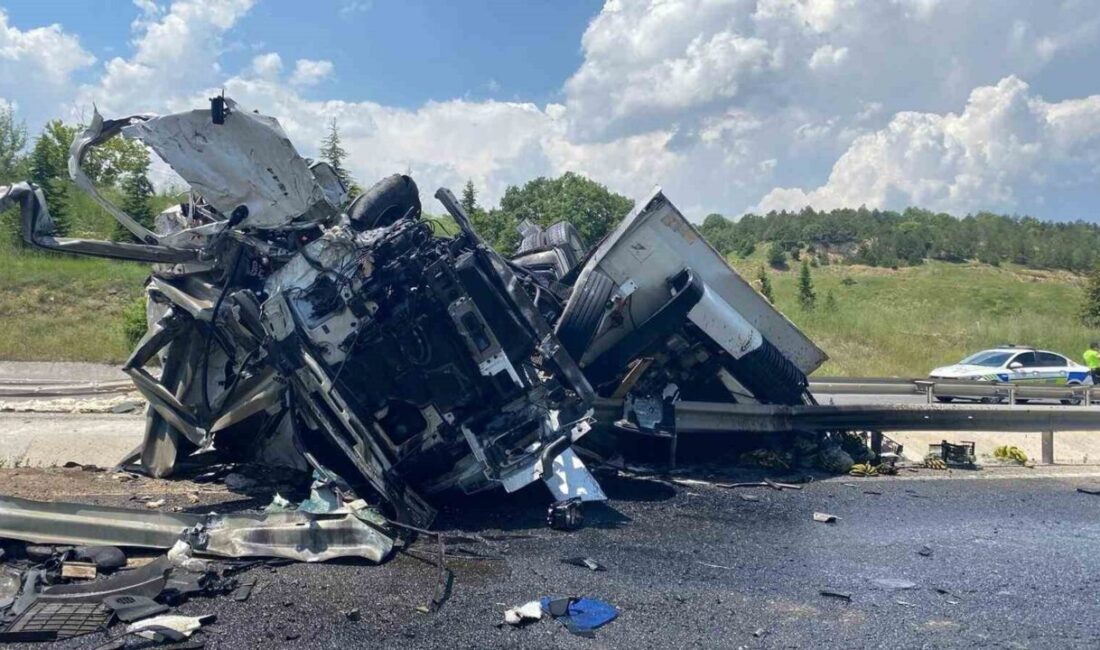 Bilecik’in Bozüyük ilçesinde meydana gelen trafik kazasında bir kişi yaşamını