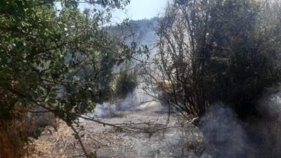 Bilecik’te, Akçasu köyüne bağlı bir tarla alanında yangın çıktı. Bilecik