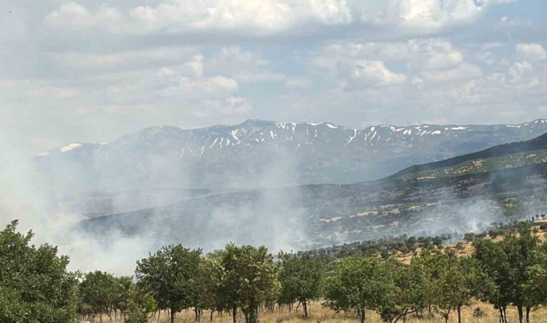 Bingöl’ün merkez ilçesine bağlı Gökçeli köyünde meydana gelen orman yangını,