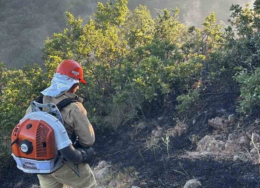 Bingöl’ün Çavuşlar köyünde meydana gelen orman yangını, yetkililerin erken müdahalesi