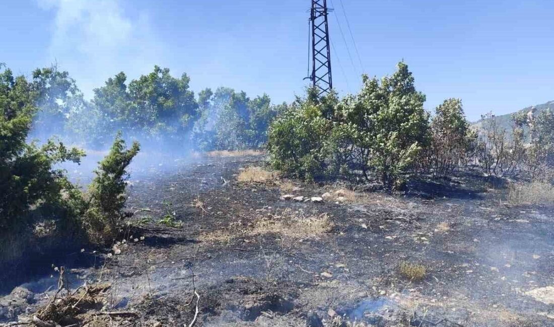 Bingöl’ün Gerçekli köyü, Genç ilçesine bağlı, yaşanan orman yangını sonucunda