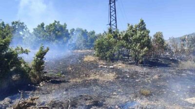 Bingöl’ün Gerçekli köyü, Genç ilçesine bağlı, yaşanan orman yangını sonucunda
