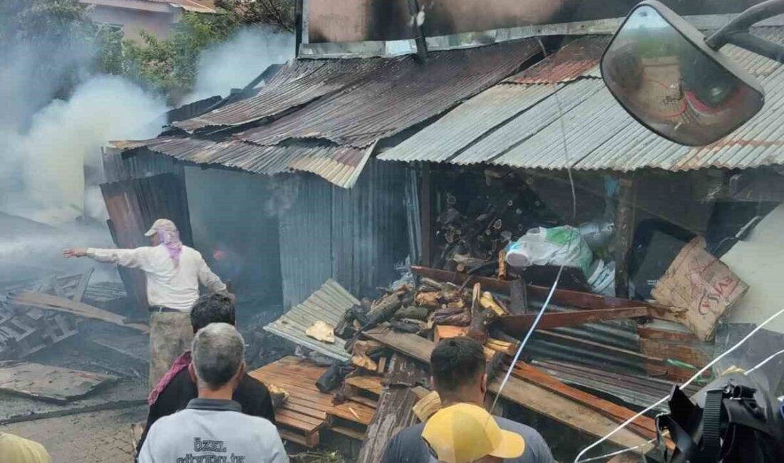 Bingöl ilinde bulunan bir evde meydana gelen yangında 2 kişi