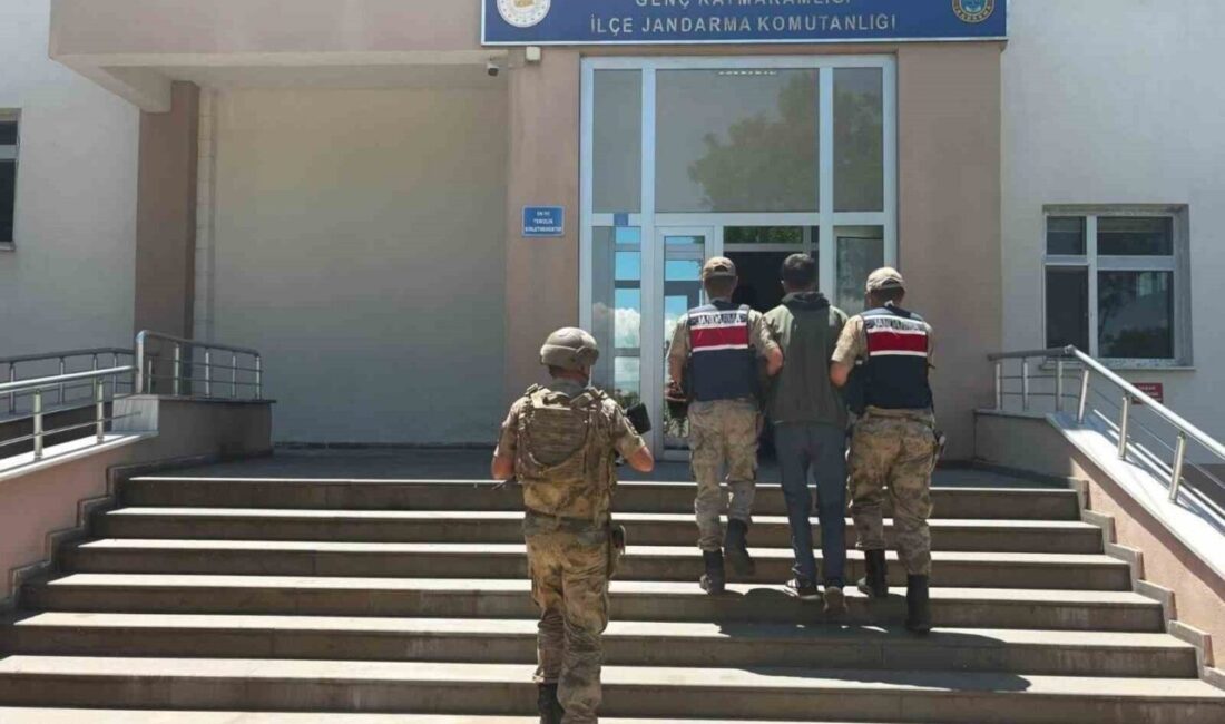 Bingöl’de jandarma ekipleri tarafından bir hafta süren operasyonlar sonucunda çeşitli