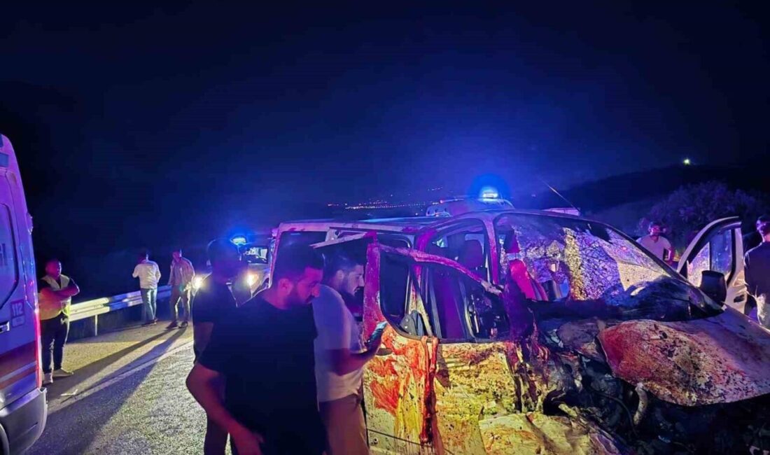 Bingöl’de panelvan aracın ata çarpması sonucu meydana gelen trafik kazasında