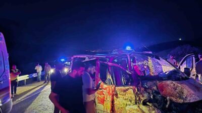 Bingöl’de panelvan aracın ata çarpması sonucu meydana gelen trafik kazasında