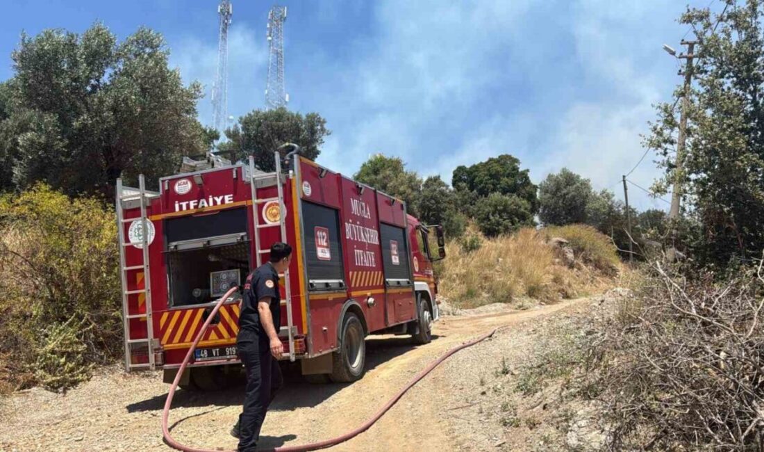 Muğla ilinin Bodrum ilçesine bağlı Turgutreis Mahallesi’nde meydana gelen yangın,