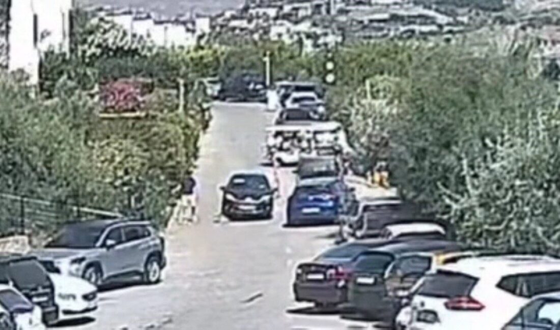 Bodrum ilçesinde yaşanan ve “Çinko” adında bir köpeğin otomobil kazası