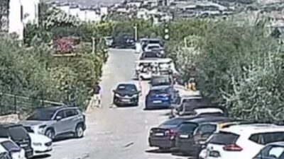 Bodrum ilçesinde yaşanan ve “Çinko” adında bir köpeğin otomobil kazası