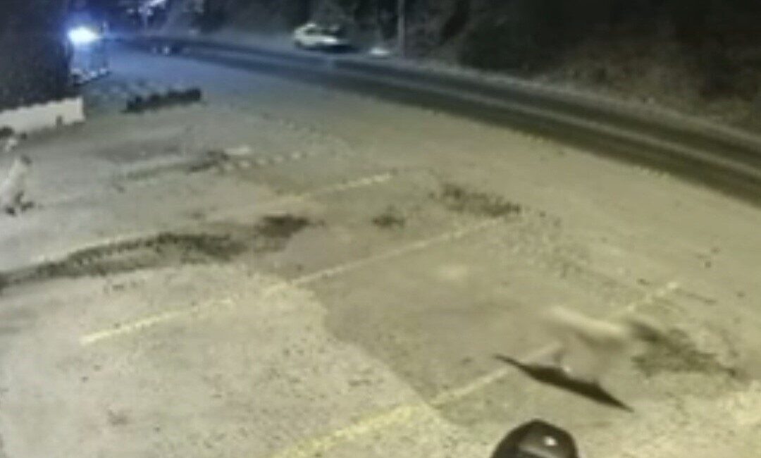 Bodrum ilçesinde meydana gelen trafik kazasında 2 kişi hayatını kaybetti.