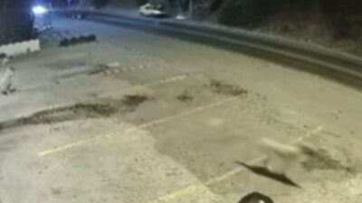 Bodrum ilçesinde meydana gelen trafik kazasında 2 kişi hayatını kaybetti.