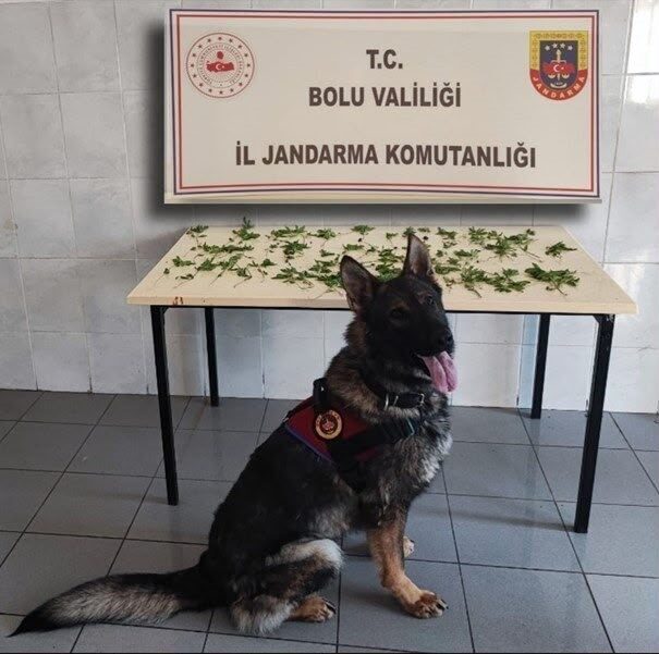 Bolu ilinde Jandarma ekipleri tarafından kaçakçılık ve uyuşturucu ticaretiyle mücadele