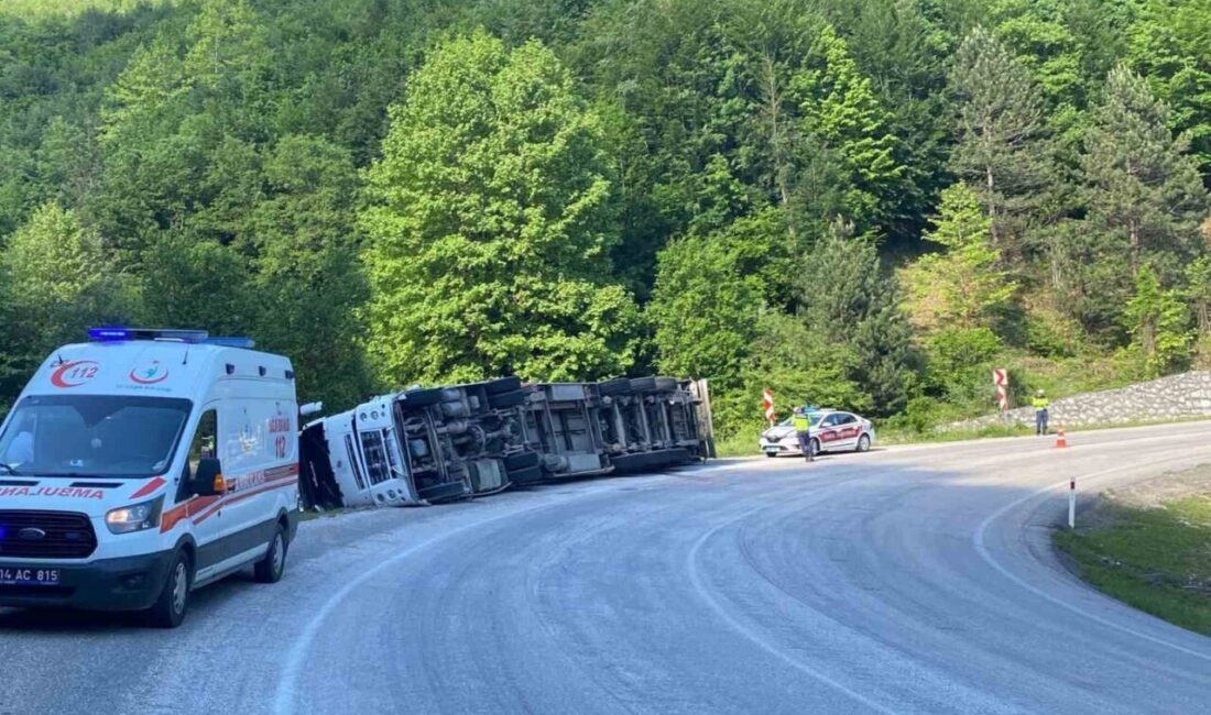 Bolu’nun Mudurnu-Akyazı karayolunda meydana gelen trafik kazasında, kontrolden çıkan bir