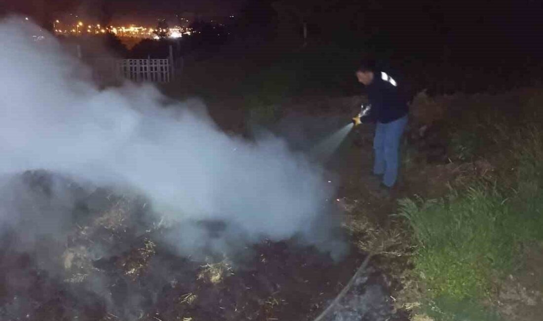 Bolu’nun Aşağıkuldan köyü yakınlarında meydana gelen anız yangını, hızlı bir