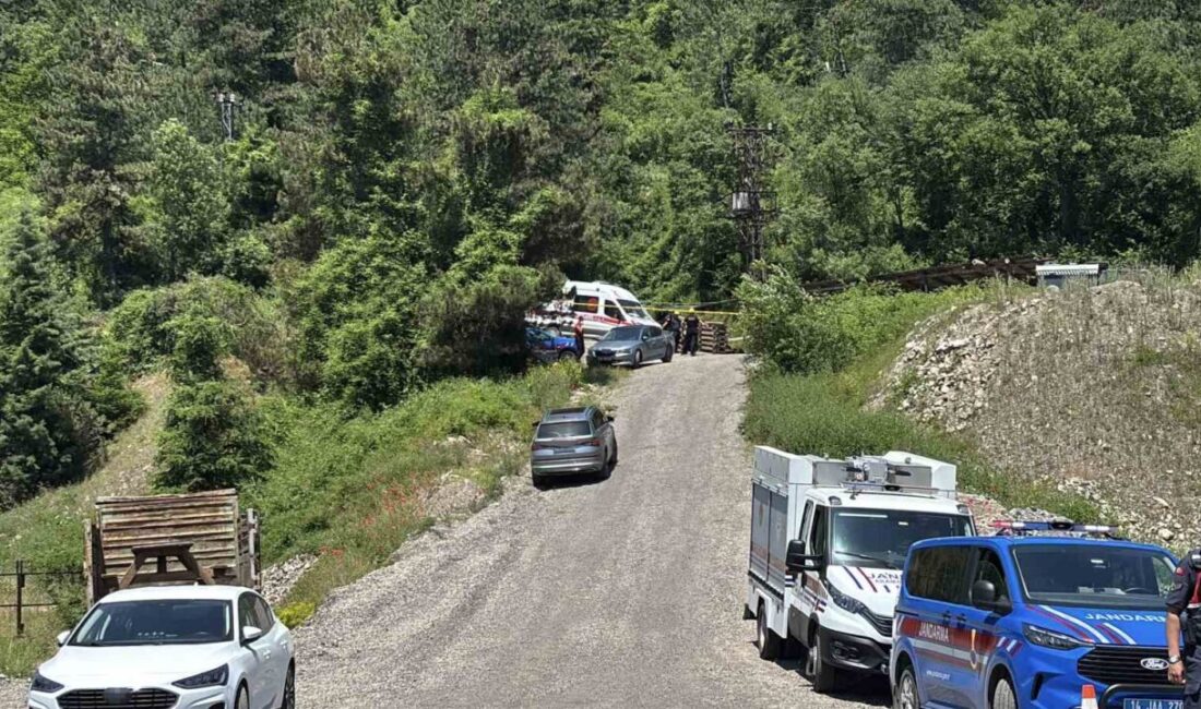 Bolu’nun Mengen ilçesinde yaşanan maden ocağı göçüğünde hayatını kaybeden işçinin