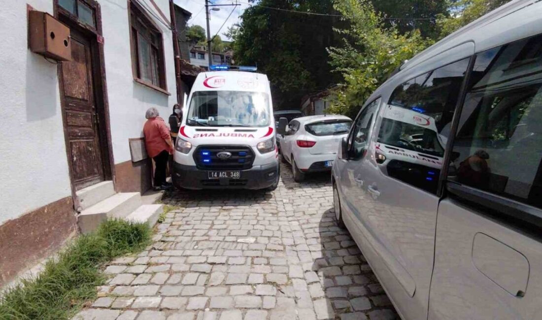 Bolu’nun Mudurnu ilçesinde yaşlı bir hasta için çağrılan ambulans, park