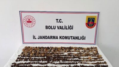 Bolu’nun Yeniçağa ilçesinde yasak olan 4,5 kilogram yabani salep toplayan