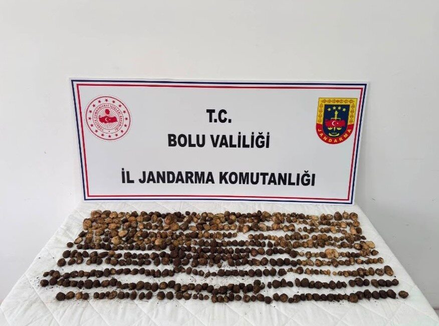 Bolu’nun Yeniçağa ilçesinde yasak olan 4,5 kilogram yabani salep toplayan
