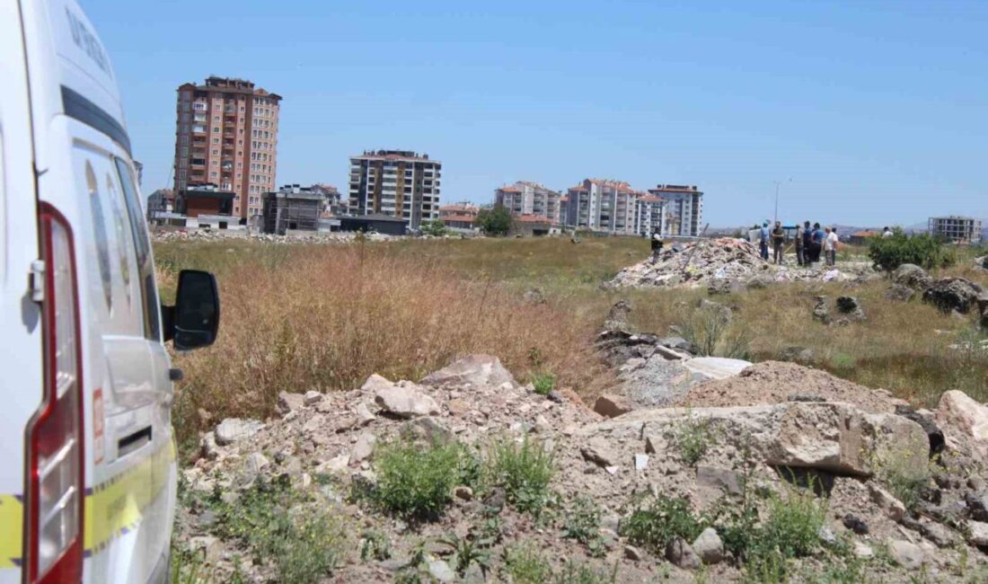 Kayseri’nin Melikgazi ilçesinde bulunan boş arazide moloz yığınları arasında bir