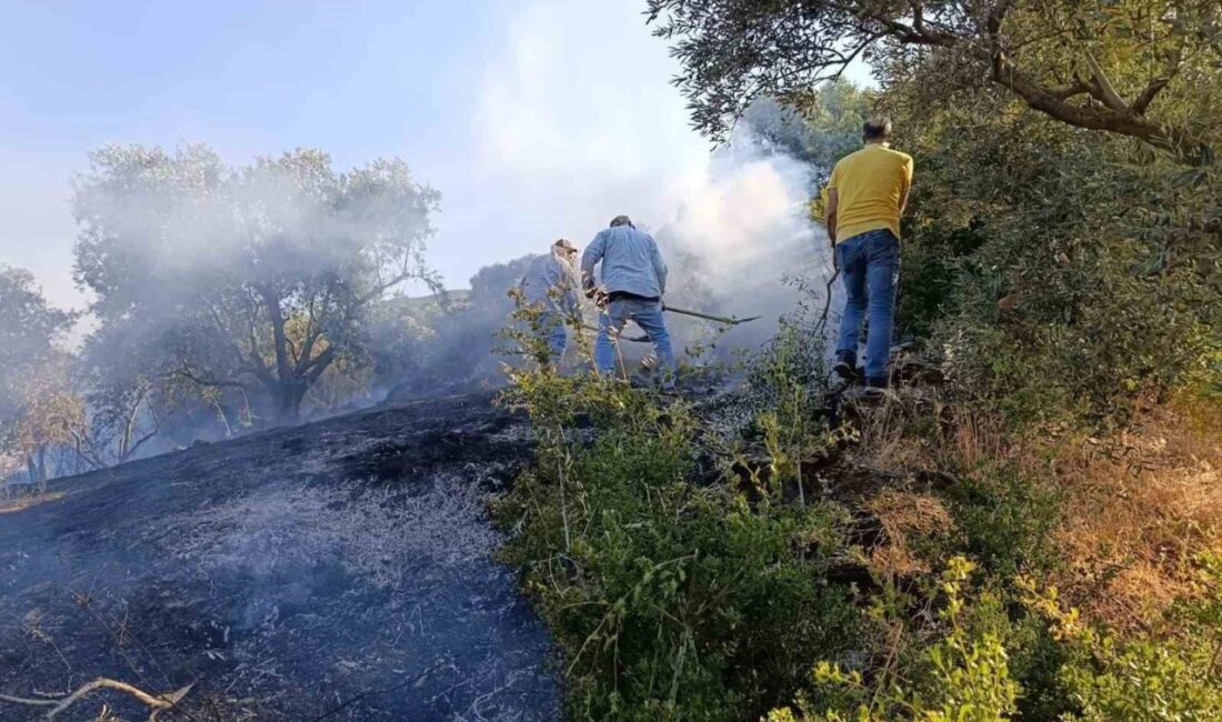 Aydın’ın Bozdoğan ilçesine bağlı Alamut Mahallesi’nde meydana gelen arazi yangını,