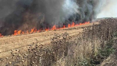 Çorlu ilçesinde, Sarılar Mahallesi’nde bulunan bir buğday tarlasında meydana gelen