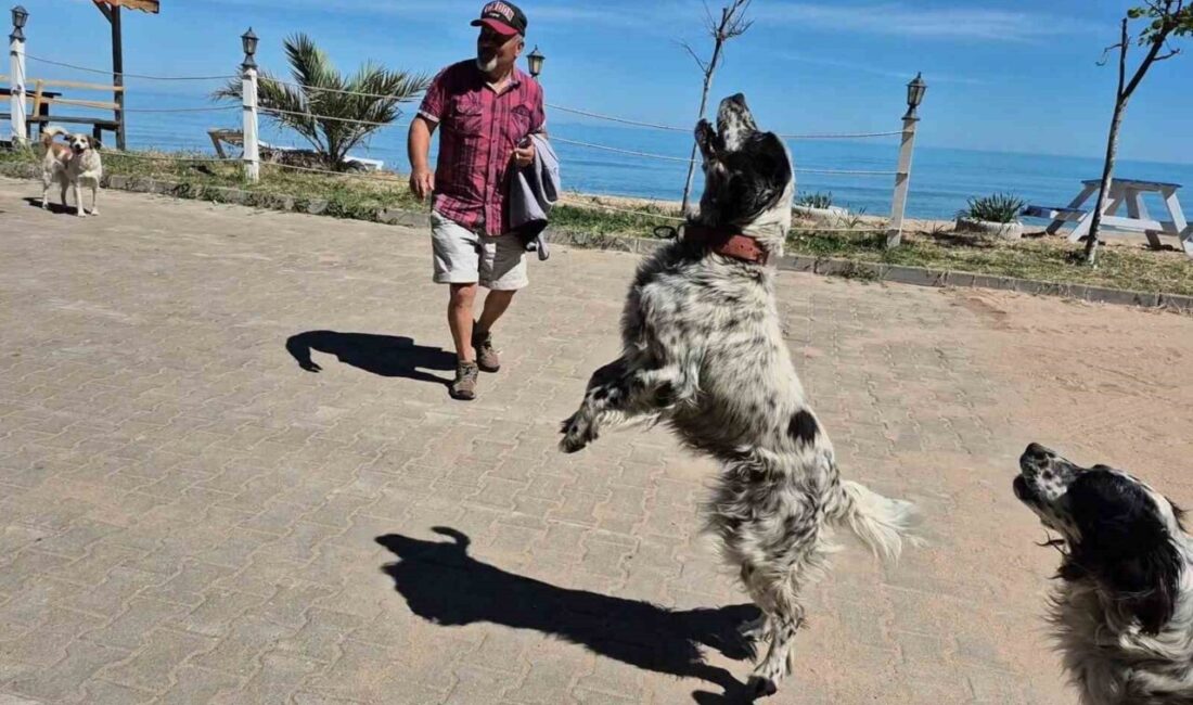 Kapısuyu köyünde yaşayan ve “dronsavar köpekler” olarak anılan üç köpek,