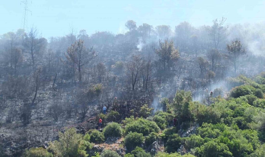 Balıkesir’in Burhaniye ilçesine bağlı Taylıeli Mahallesi’nde meydana gelen orman yangınında