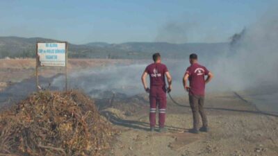 Karınca Deresi kenarında meydana gelen ot yangını, Burhaniye ilçesinde büyük