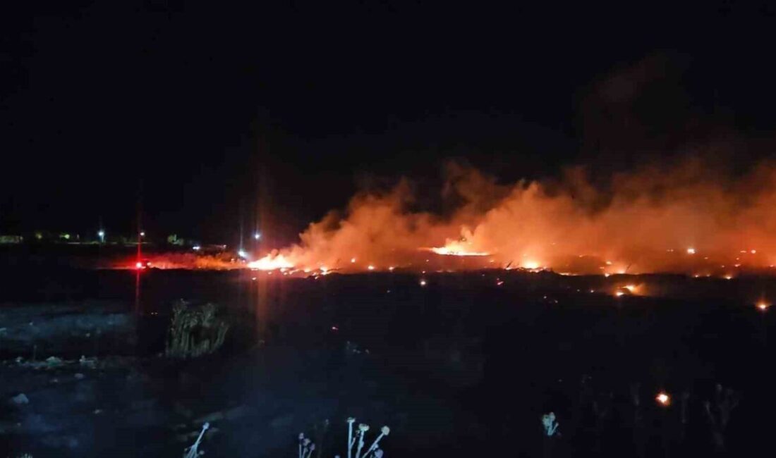 Balıkesir’in Burhaniye ilçesine bağlı Şarköy Mahallesi’nde bir otluk alanda yangın