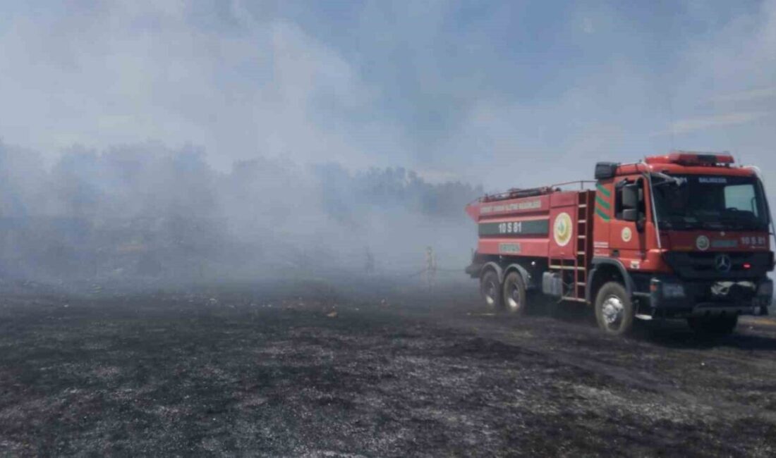 Balıkesir’in Burhaniye ilçesinde meydana gelen örtü yangını, zeytinlik alanları tehdit