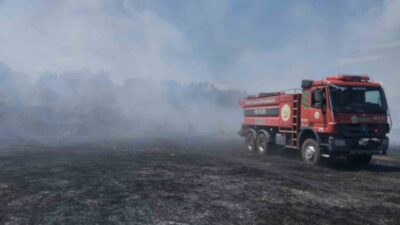 Balıkesir’in Burhaniye ilçesinde meydana gelen örtü yangını, zeytinlik alanları tehdit