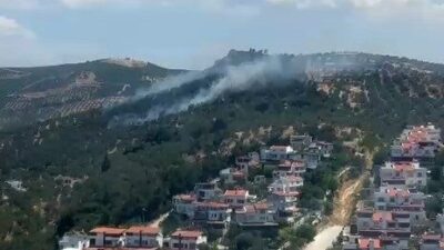 Balıkesir’in Burhaniye ilçesine bağlı Pelitköy Mahallesi’nde meydana gelen zeytinlik yangını,