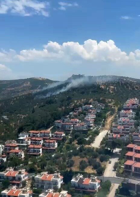 Balıkesir’in Burhaniye ilçesine bağlı Pelitköy Mahallesi’nde meydana gelen zeytinlik yangını,